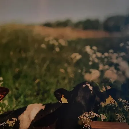La Vache Au Lit Сasa de vacaciones *