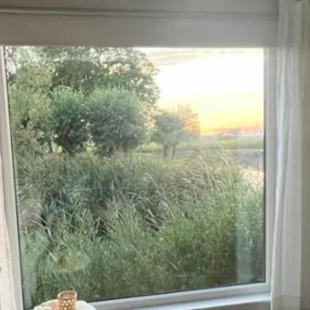 La Vache Au Lit *