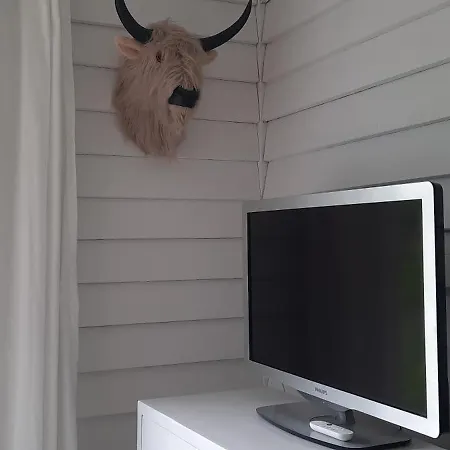 La Vache Au Lit